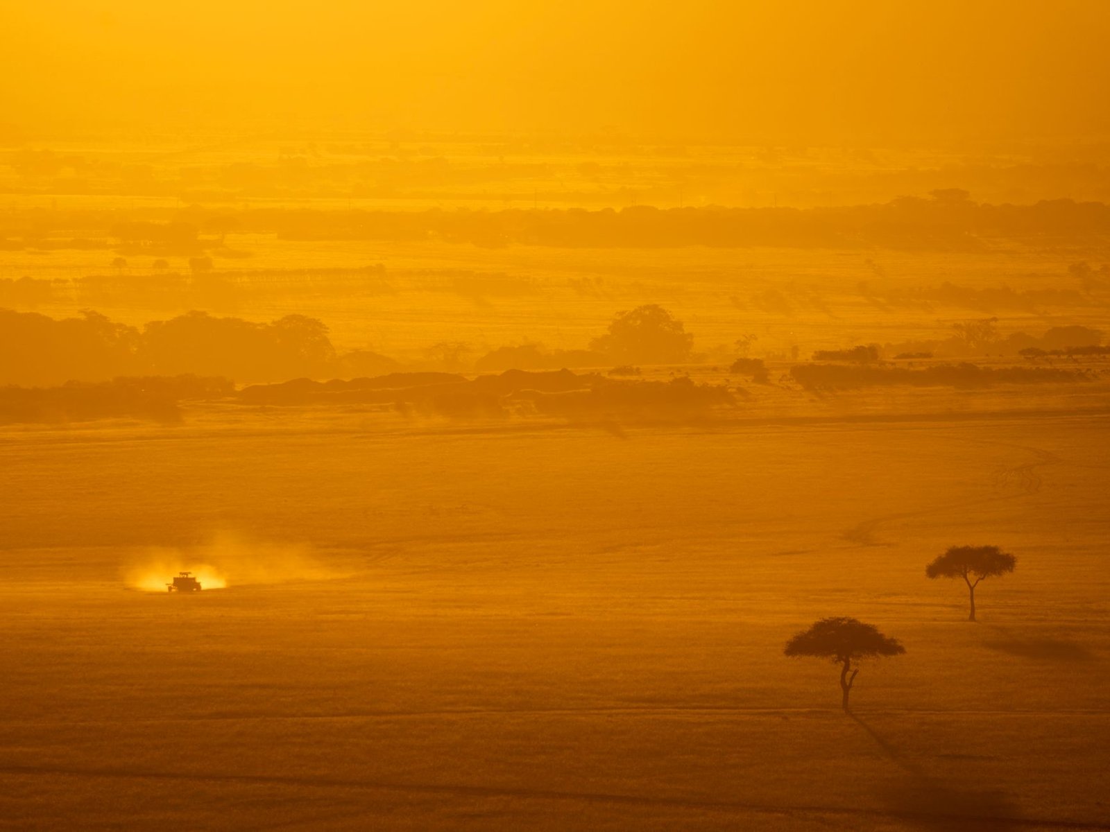 Dramatic view of Kenya's savanna during sunset. A vehicle drives through the golden landscape.
