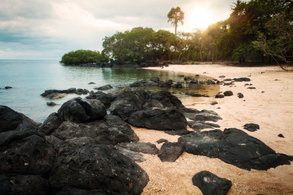 A tranquil beach scene at sunrise with volcanic rocks and lush greenery in East Java, Indonesia.