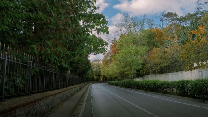 Spontaneous Connection: How to Enjoy Romantic Moments in Lavington Without Overplanning