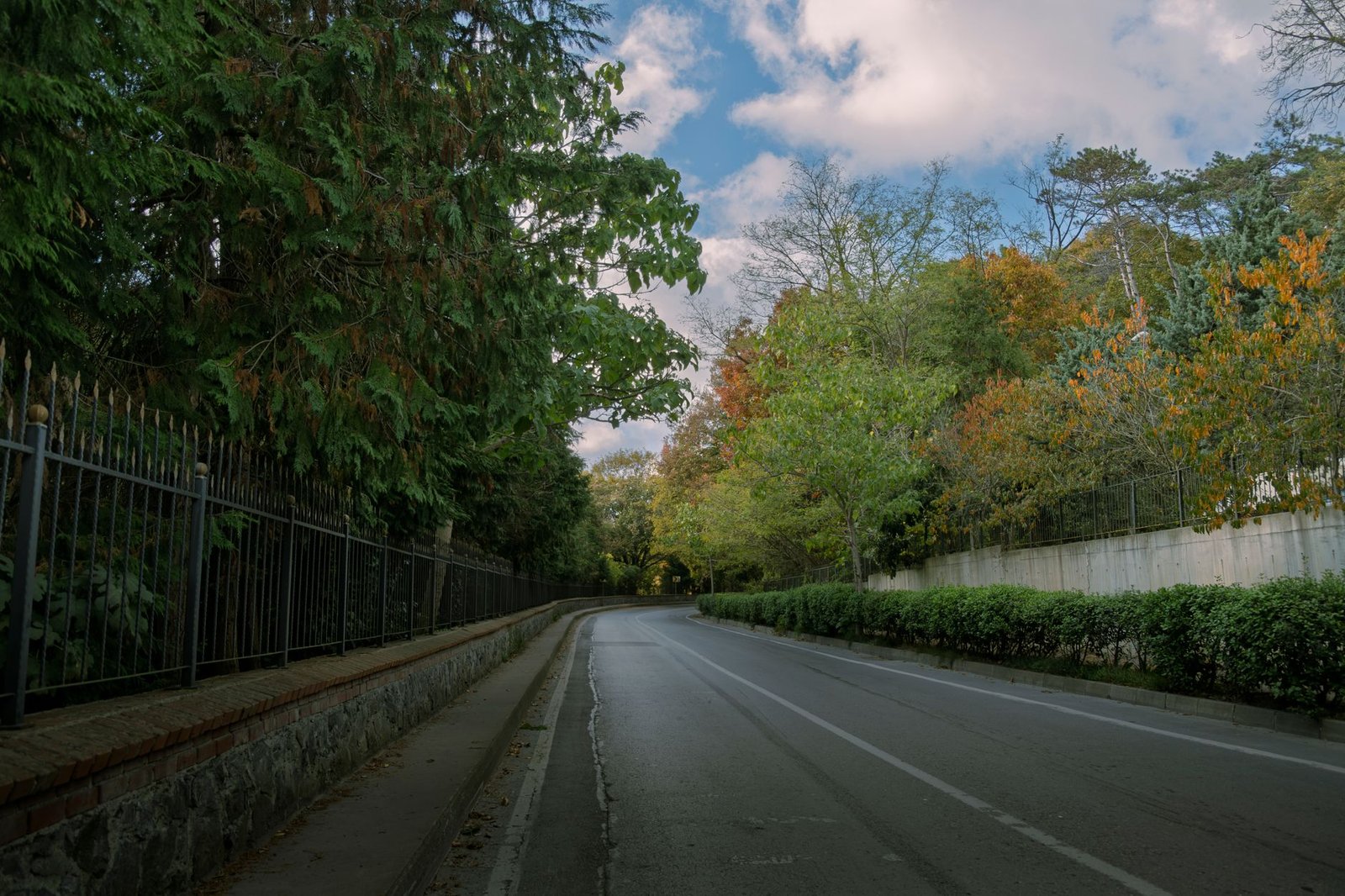Serene tree-lined street in Istanbul, showcasing vibrant autumn foliage.