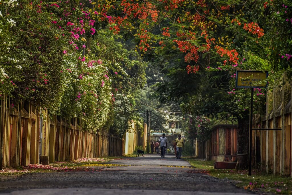 A tranquil street lined with vibrant spring blossoms and pedestrians walking.