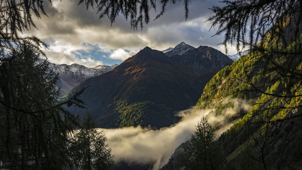 mountains, fog, trees, clouds, alps, alpine, valley, mood, scenic, idyllic, view, mountain range, mountain landscape, landsca