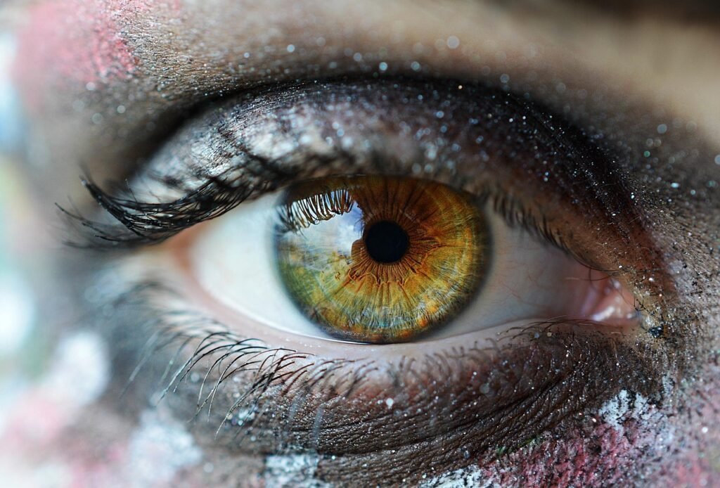 eye, lens, photography, green, orange, human, face, eyelashes, vision, portrait, sparkle, glitter, makeu, eye, eye, eye, eye,