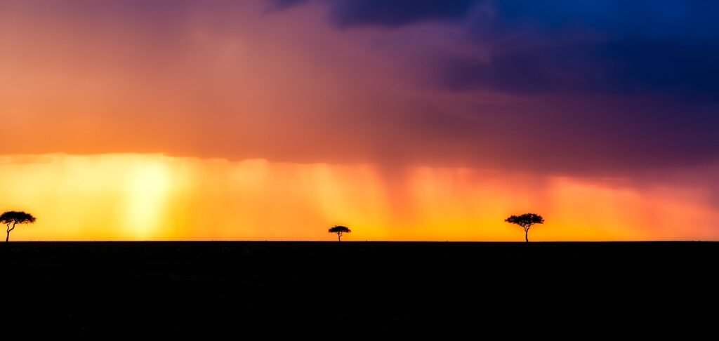 kenya, africa, landscape, storm, raining, trees, panorama, silhouettes, nature, outdoors, sunset, dusk, sky, clouds, kenya, k