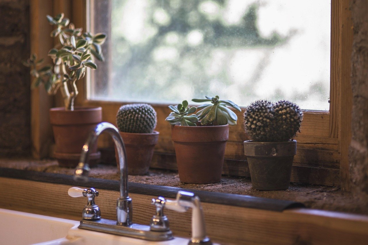 cactus, kitchen, design, interior, table, modern, sink, window, outside, inside, ledge, home, style, house, apartment, wooden