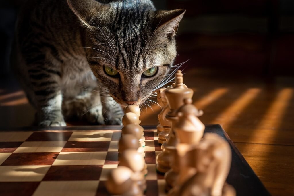 tabby, cat, nature, chess, game, strategy, pet, tabby cat, striped cat, animal, domestic cat, feline, mammal, cute, portrait,