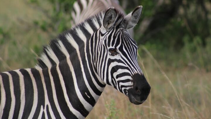 Spontaneous Adult Dating in Kisumu: How to Enjoy Connections Without Overplanning