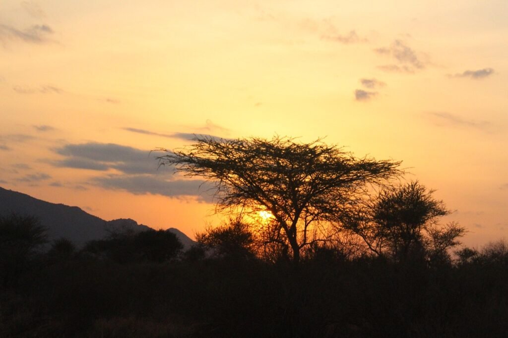 sunset, nature, kenya