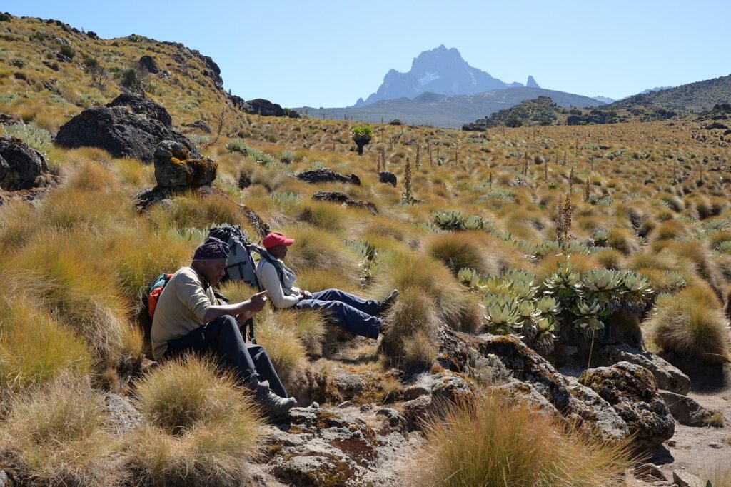 mount kenya, hikers, mountain, landscape, flora, hiking, trekking, kenya, africa, nature, sky, wilderness, outdoors, rocks, g