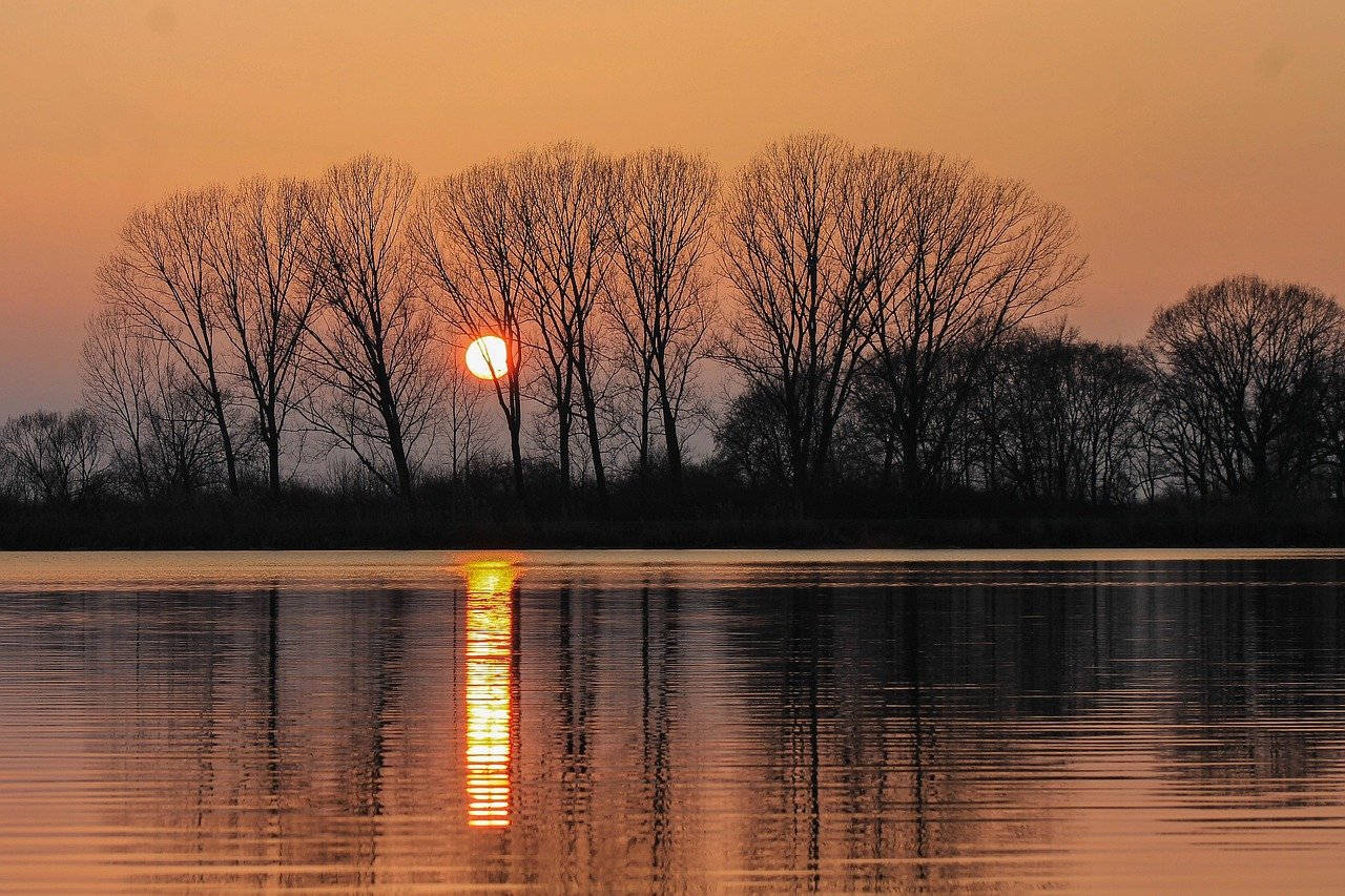 sunset, trees, water mirror, reflection, waterfront sunset, landscape, lake, nature, waterfront, lakeside, wood, waterfront,