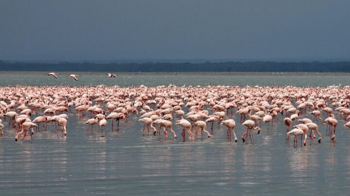 Unlocking Deeper Value From Every Experience in Milimani Nakuru