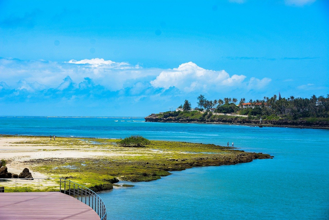 mombasa, beach, nyali, nature, tourism