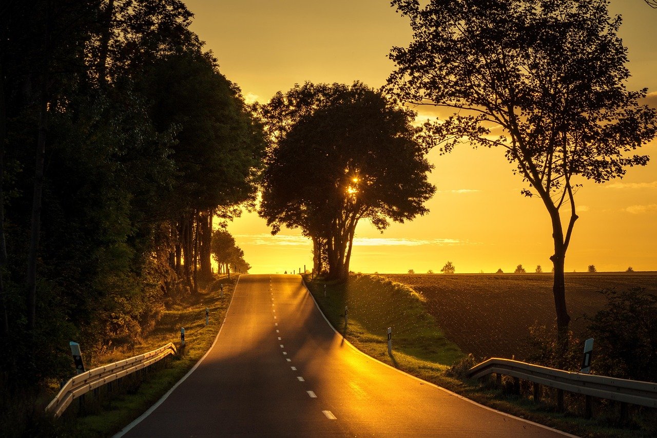 road, sunset, landscape, backlighting, nature, trees, tree silhouettes, avenue, roadway, street, dusk, twilight, horizon, rur