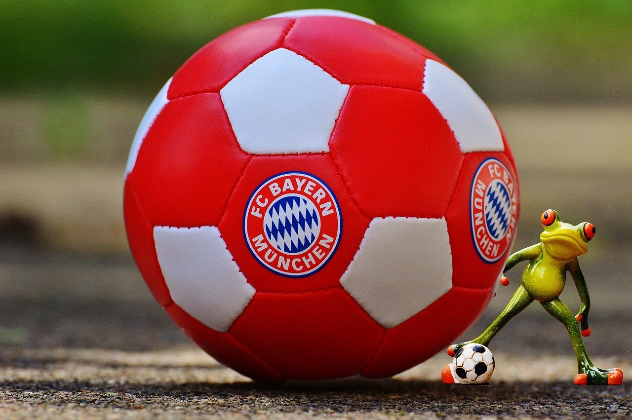 bayern munich, frog, football club, bavaria, soccer, bavaria munich, stadium, allianz arena, fun, bayern munich, bayern munic