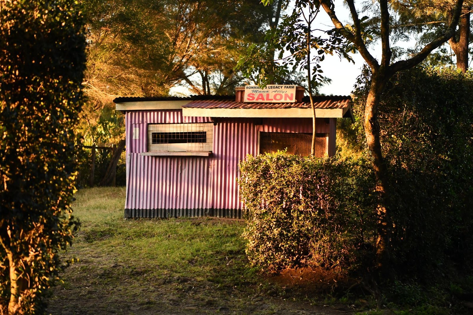 Quiet rural street in Tana Delta, Tana River County, Kenya, at golden hour